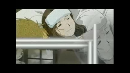 Fullmetal Alchemist Amv - Phenomenon