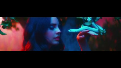 Lana Del Rey - Tropico (official)
