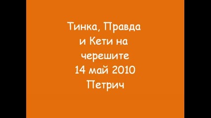 Горе на черешата
