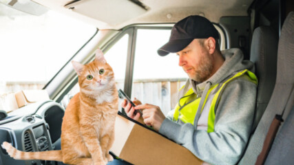 По погрешка: Котката Галена пропътува хиляди километри с куриерска фирма