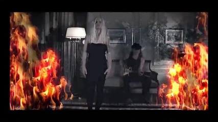 The Blackberry Brandies - The Flame (sexuality) (official Video)