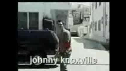 Jackass Vs Car
