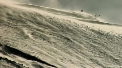 Yeahh Love - Yeahh Productions - Snowboard