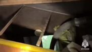 Три жертви и хиляди евакуирани заради наводнения в Южна Русия