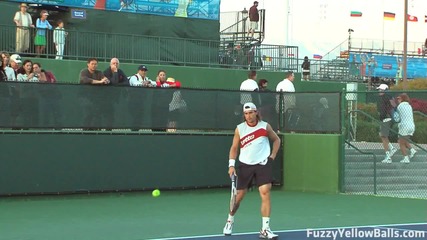 David Ferrer hitting in High Definition 