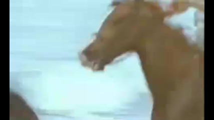 Samantha Fox - Nothings gonna stop me now 