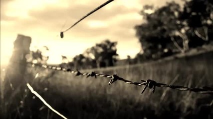Amirali - No Strings (original Mix)
