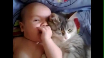 Любовта между бебе и котка .