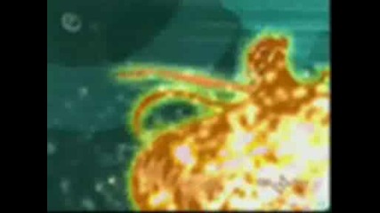 Winx Club - This is Me