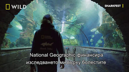 National Geographic Explorer | Андрей Гайч