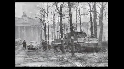 Panzer - Wehrmacht Edelweiss
