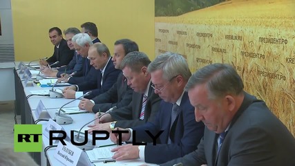 Russia: Import substitution leads to 40 percent drop agriculture imports - Putin