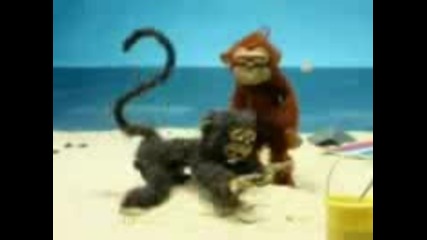 маймуна на плаж 