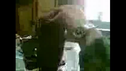 Dvama Tapanari