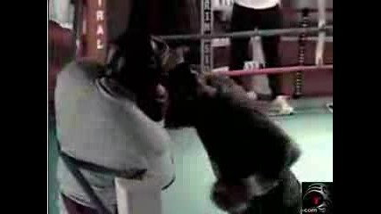 Boxing - Mike Tyson Training For Mcbride