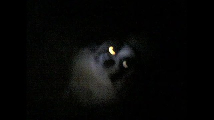 Masterboy - Children Of The Night (1996)