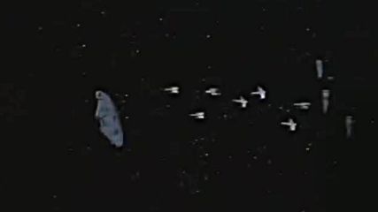 Cosmic Efi - Star Trek