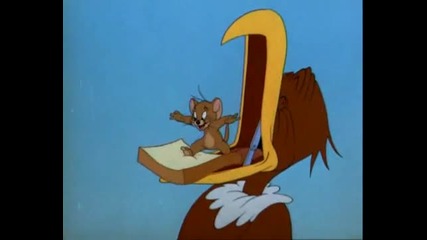 Tom Jerry 18 