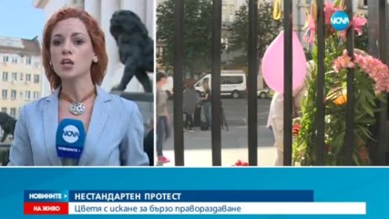 НЕСТАНДАРТЕН ПРОТЕСТ: Цветя с искане за бързо парвораздаване
