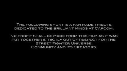 Real Life Street Fighter - Beginning End 