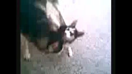 Клеър И Рая
