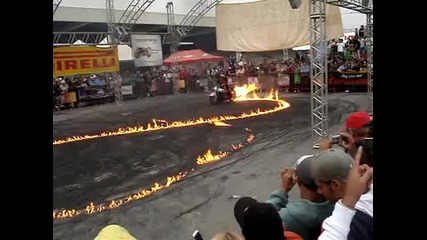 cobra moto show
