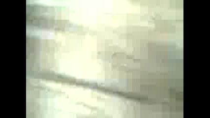 Kak Se Reze Darvo (smix)
