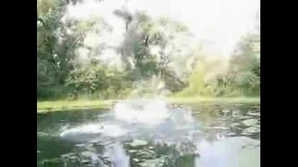 смешни инциденти 