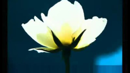 Moody Blues - Nights In White Satin 