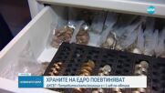 Храните на едро с по-ниски цени: Потребителската кошница е с 1 лев по-евтина