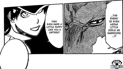 Bleach Manga 495