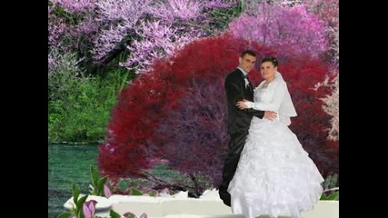 Dugun Toreni - - Mirem & Abdurahim