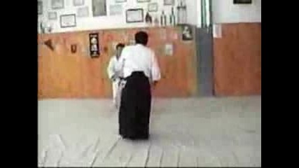 Aikido hamada sensei 2