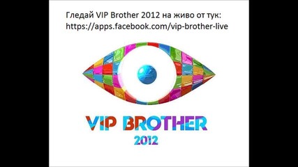 Vip Brother Live Online - На Живо - Гледай безплатно
