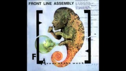 Front Line Assembly - Evil Playground 