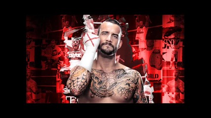 Cm Punk - Cult Of Personality