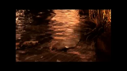 Far Cry 2 Debut Trailer