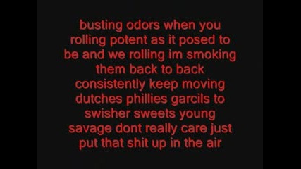 Lil Boosie - Smoking On Purple.flv