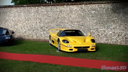24 Hours 5 Mclaren F1s