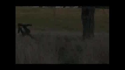 Танци