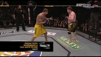 Roy Nelson vs Brendan Schaub