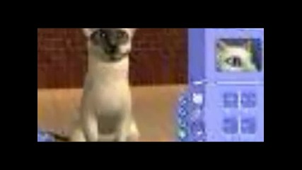 Картинки На Sims