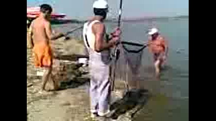 qzovir ticha