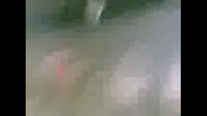 Video005