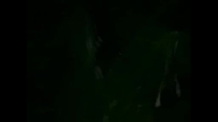 New Moon Fan Made Trailer 2009 Happy Now