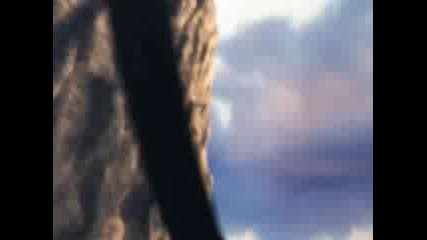 Lineage Ii .wmv