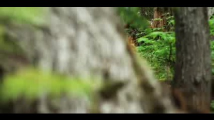 Lifecycles - Bike Perspective Shifted 