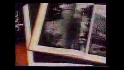 Wild Swans - Bible Dreams