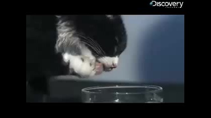 Time Warp - Wednesdays @ 8pm E/p only on Discovery Channel * 