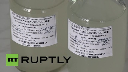 Russia: Is this the REAL elixir of life? Scientists think immortality may be one drop away